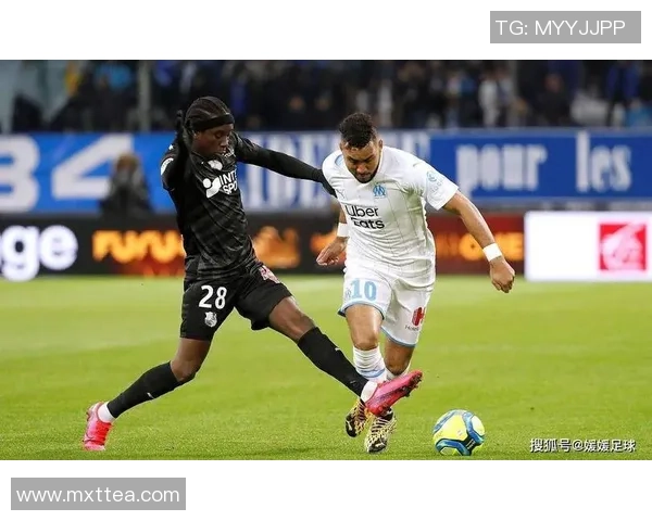 哈马比与佐加顿激情对决全景直播尽在360平台精彩呈现