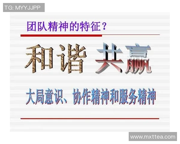 德国与白俄罗斯友谊赛精彩对决展现足球魅力与团队精神